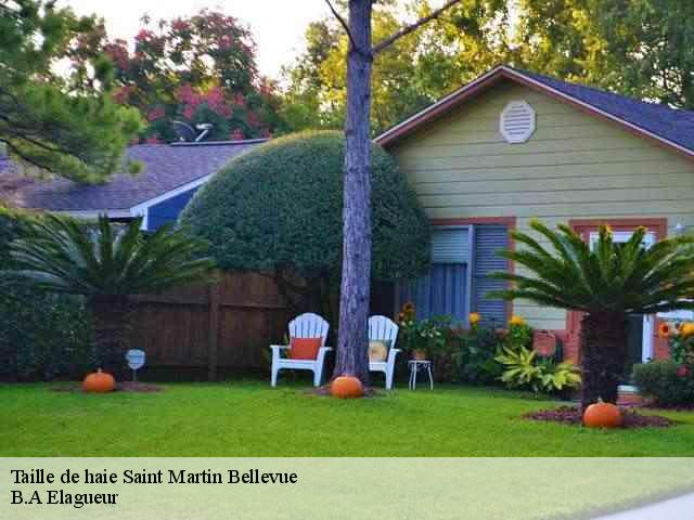 Taille de haie saint-martin-bellevue-74370 B.A Elagueur