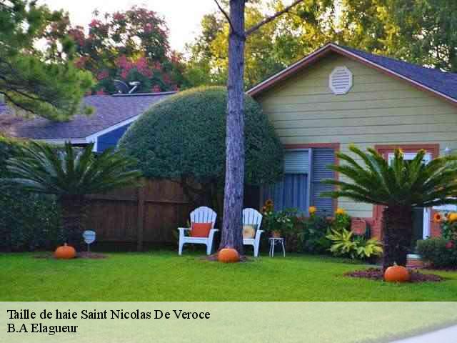 Taille de haie saint-nicolas-de-veroce-74190 B.A Elagueur