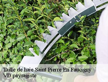 Taille de haie 74800