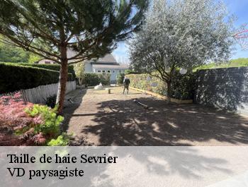 Taille de haie  sevrier-74320 VD paysagiste