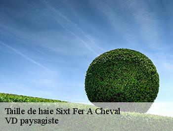 Taille de haie