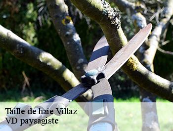 Taille de haie  74370