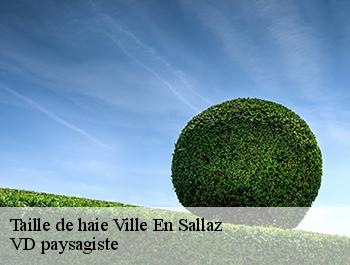 Taille de haie