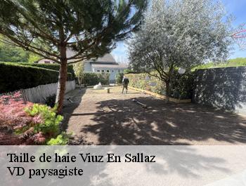 Taille de haie  viuz-en-sallaz-74250 VD paysagiste