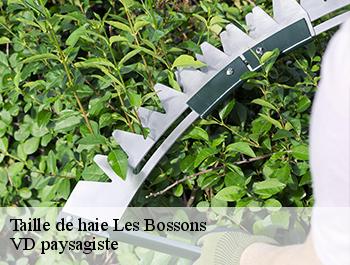 Taille de haie 74400