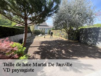 Taille de haie martel-de-janville-74480 VD paysagiste