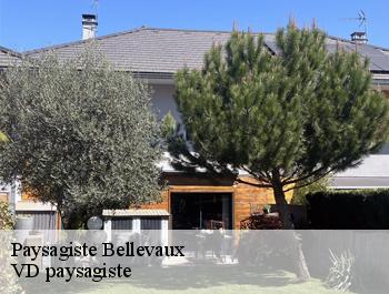 Paysagiste  bellevaux-74470 VD paysagiste