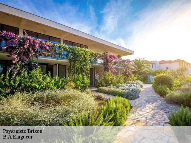 Paysagiste brizon-74130 B.A Elagueur