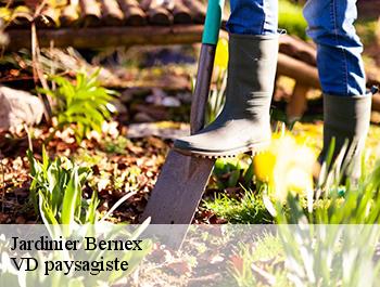 Jardinier  bernex-74500 VD paysagiste