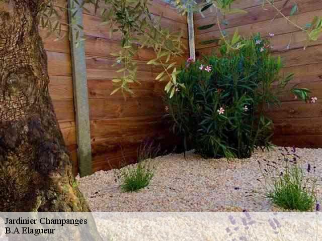 Jardinier  champanges-74500 B.A Elagueur