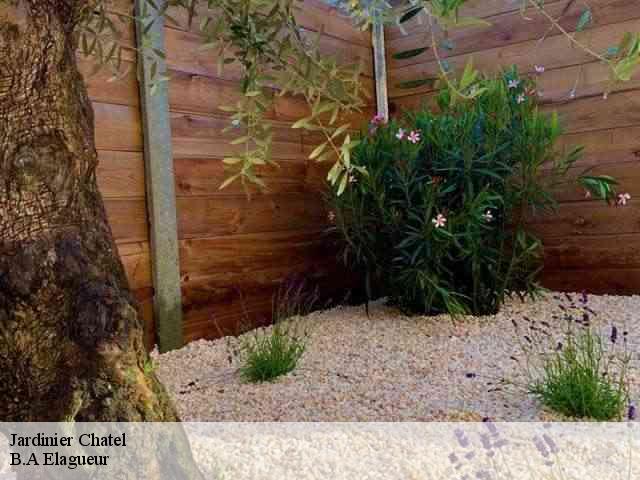 Jardinier  chatel-74390 B.A Elagueur