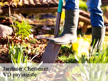 Jardinier  chessenaz-74270 VD paysagiste