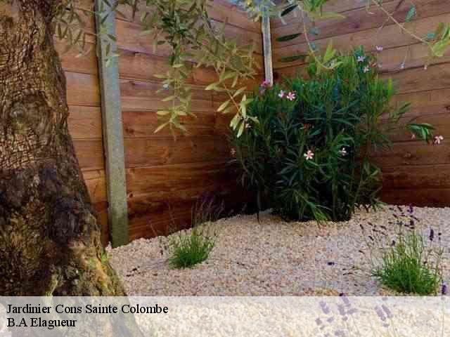 Jardinier cons-sainte-colombe-74210 B.A Elagueur
