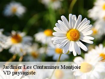 Jardinier  74170