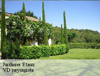 Jardinier  74800
