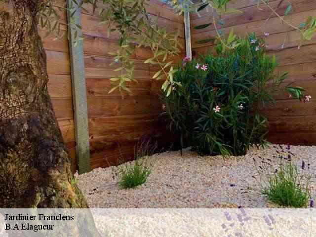 Jardinier franclens-74910 B.A Elagueur