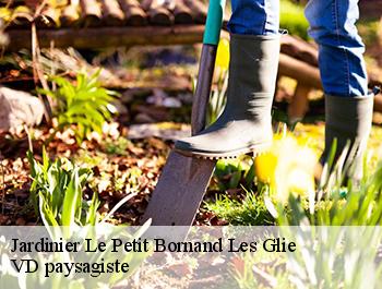 Jardinier  le-petit-bornand-les-glie-74130 VD paysagiste