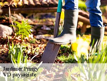 Jardinier  pringy-74370 VD paysagiste