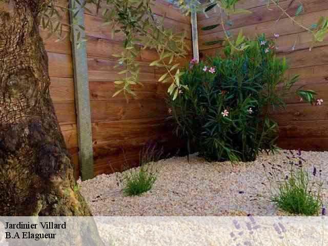 Jardinier villard-74420 BS Elagage