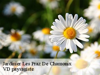 Jardinier  74400