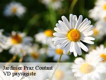 Jardinier  74480