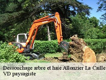 Dessouchage arbre et haie 74350
