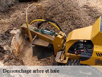 Dessouchage arbre et haie