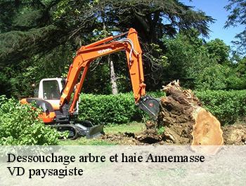 Dessouchage arbre et haie  74100