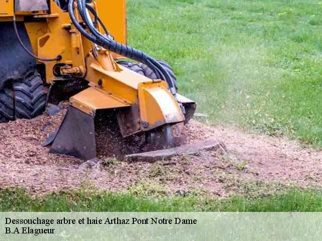 Dessouchage arbre et haie  arthaz-pont-notre-dame-74380 B.A Elagueur