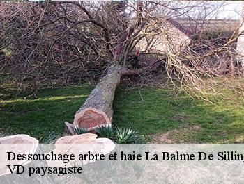 Dessouchage arbre et haie  la-balme-de-sillingy-74330 VD paysagiste