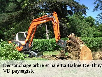 Dessouchage arbre et haie 74230