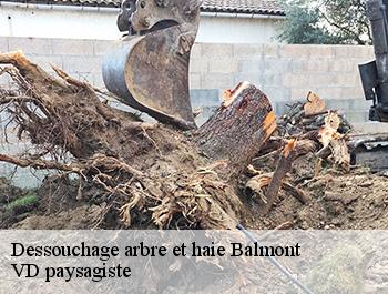 Dessouchage arbre et haie  74600