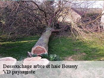 Dessouchage arbre et haie  boussy-74150 VD paysagiste