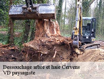 Dessouchage arbre et haie
