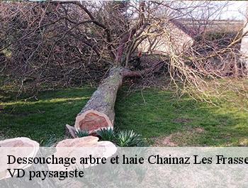 Dessouchage arbre et haie chainaz-les-frasses-74540 VD paysagiste