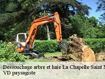 Dessouchage arbre et haie  74410