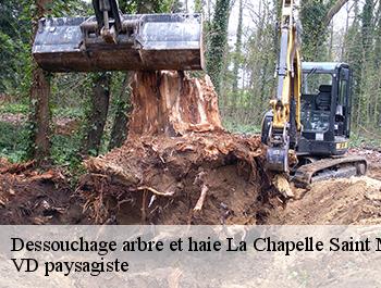 Dessouchage arbre et haie
