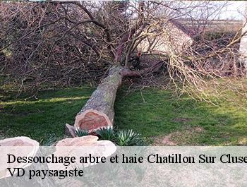 Dessouchage arbre et haie  chatillon-sur-cluses-74300 VD paysagiste