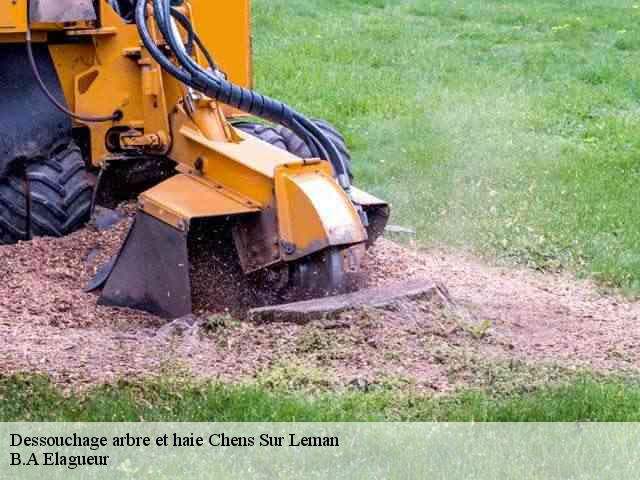 Dessouchage arbre et haie chens-sur-leman-74140 B.A Elagueur