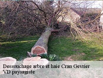 Dessouchage arbre et haie  cran-gevrier-74960 VD paysagiste