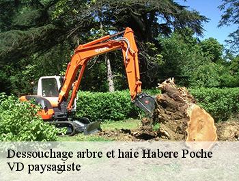 Dessouchage arbre et haie  74420