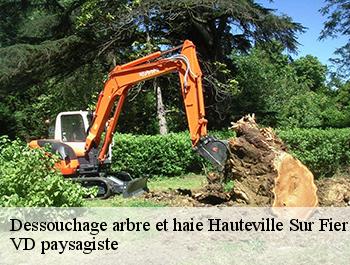 Dessouchage arbre et haie 74150