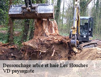 Dessouchage arbre et haie