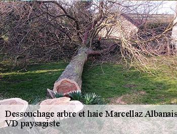 Dessouchage arbre et haie  marcellaz-albanais-74150 VD paysagiste