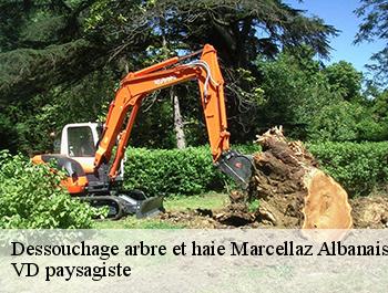 Dessouchage arbre et haie  74150