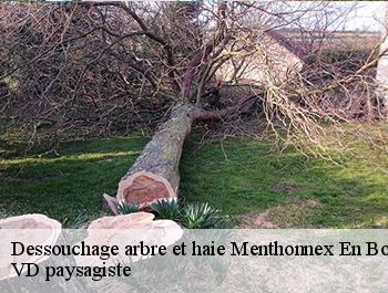 Dessouchage arbre et haie  menthonnex-en-bornes-74350 VD paysagiste
