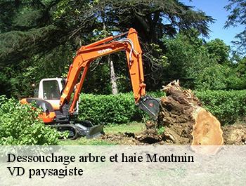 Dessouchage arbre et haie  74210