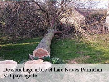 Dessouchage arbre et haie  naves-parmelan-74370 VD paysagiste