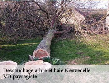 Dessouchage arbre et haie  neuvecelle-74500 VD paysagiste