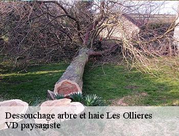 Dessouchage arbre et haie les-ollieres-74370 VD paysagiste